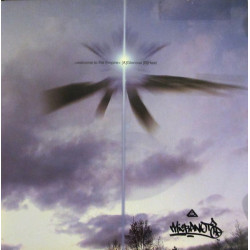 Micranots - Welcome To The Empire, 12"