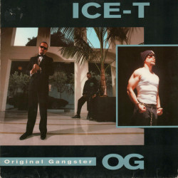 Ice-T - O.G. Original Gangster, LP