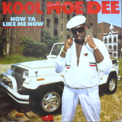 Kool Moe Dee - How Ya Like Me Now, LP