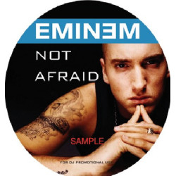 Eminem - Not Afraid, 12"