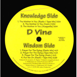 D Vine - The Mother In You, 12"