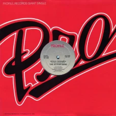 The Action Band - Sexual Research, 12"