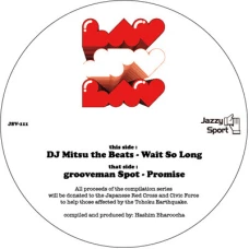 DJ Mitsu The Beats / grooveman Spot - Wait So Long / Promise, 10"