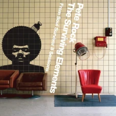 Pete Rock - The Surviving Elements, 2xLP
