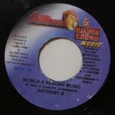 Anthony B - World A Reggae Music, 7"