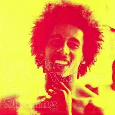Bob Marley & The Wailers - Sun Is Shining, 7"