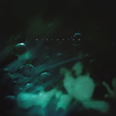 Micronism - Inside A Quiet Mind, 2xLP, Reissue