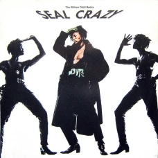 Seal - Crazy (The William Orbit Remix), 12"