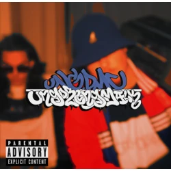 UNG DMC - UNGDRENGMÆLK, 10"