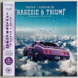 Trepac & Hobgoblin - Tragedie & Triumf, LP