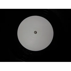 DJ Sleepy - In This Cold World, 12", Test Pressing