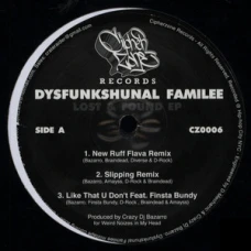 Dysfunkshunal Familee - Lost & Found EP, 12", EP