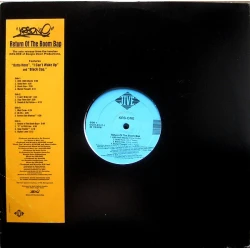 KRS-ONE - Return Of The Boom Bap, 2xLP