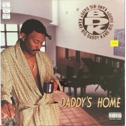 Big Daddy Kane - Daddy's Home, LP