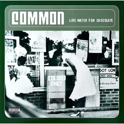 Common - Like Water For Chocolate, 2xLP, Reissue
