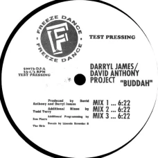 Darryl James / David Anthony Project - Buddah / It's Gettin' Bigger, 12", Test Pressing
