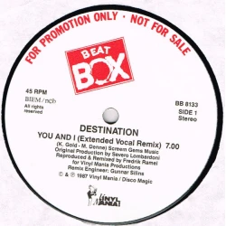 Destination - You And I (Remix), 12", Promo