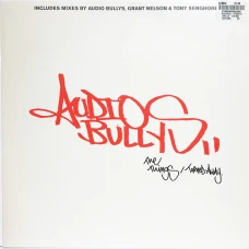 Audio Bullys - The Things / Turned Away, 12"