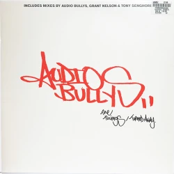 Audio Bullys - The Things / Turned Away, 12"