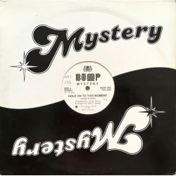 Mystery - Hold On To This Moment, 12"