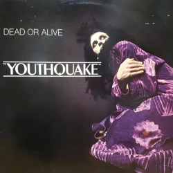 Dead Or Alive - Youthquake, LP