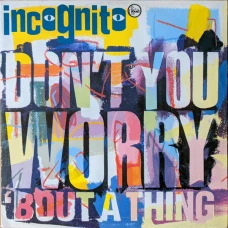Incognito - Don't You Worry 'Bout A Thing, 12"