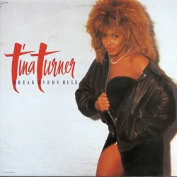 Tina Turner - Break Every Rule, LP