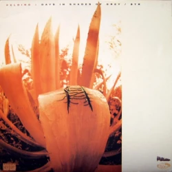 Pelding - Days In Shades Of Grey / Streetbuzz, 12"