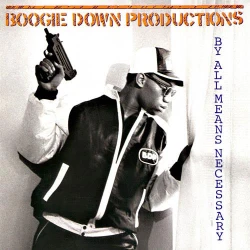 Boogie Down Productions - By All Means Necessary, LP, Reissue