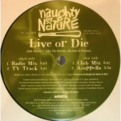 Naughty By Nature - Live Or Die, 12", Promo