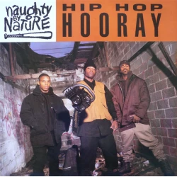 Naughty By Nature - Hip Hop Hooray, 12"