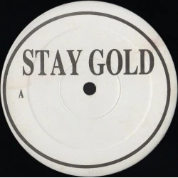 Young Zee - Stay Gold / Stay Gold Remix, 12", Promo