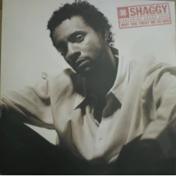 Shaggy Featuring Grand Puba - Why You Treat Me So Bad, 12"