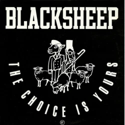BlackSheep - The Choice Is Yours, 12"
