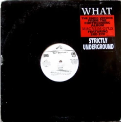 Top Quality - What, 12", Promo