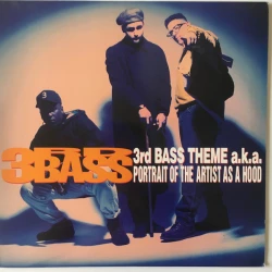 3rd Bass - 3rd Bass Theme A.K.A. Portrait Of The Artist As A Hood, 12"