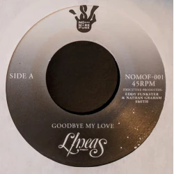 Líneas - Goodbye My Love, 7"