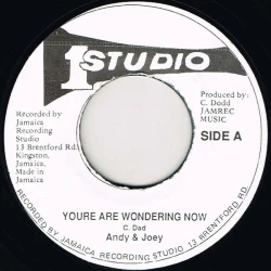 Andy & Joey - You're Wondering Now, 7", Repress