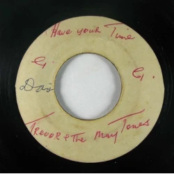 Trevor And The Maytones - Everyday Is Like A Holiday / Have Your Time, 7"
