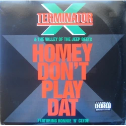 Terminator X - Homey Don't Play Dat, 12"