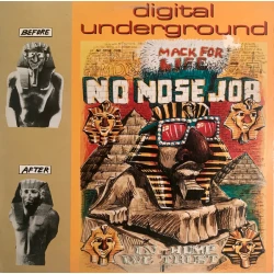 Digital Underground - No Nose Job, 12"