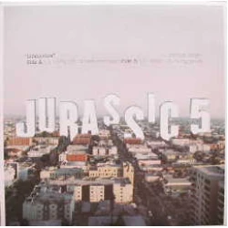 Jurassic 5 - Linguistics, 12"