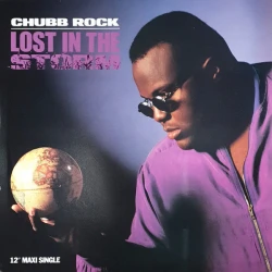Chubb Rock - Lost In The Storm, 12"