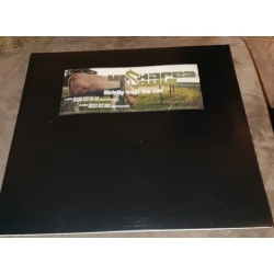 Unshaped Souls - Strictly From The Zoo / What's That Style, 12", Promo