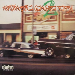 Various - Nuthin' But A Gangsta Party 2, 2xLP
