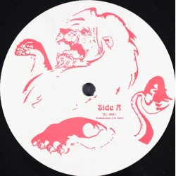 Various - Chapter One: Timeless Ashes, LP, Promo