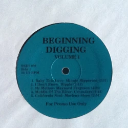 Various - Beginning Digging Volume 1, LP, Promo