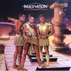 Imagination - In The Heat Of The Night, LP