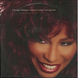 Chaka Khan Featuring Me'Shell NdegéOcello - Never Miss The Water, 12"