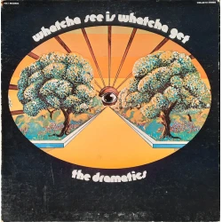 The Dramatics - Whatcha See Is Whatcha Get, LP